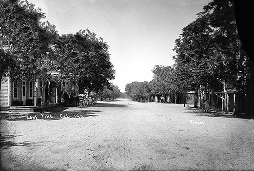 lone pine1902